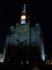 Liver Building